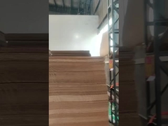 플렉소 프린터 슬러터 다이 커터